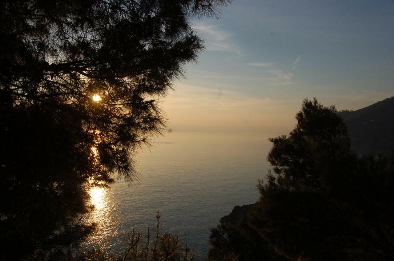 Appartement Cinqueterre National Park Sea View à Framura Extérieur photo
